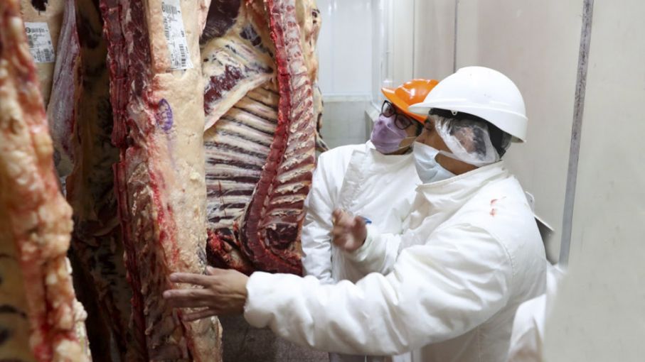 Ingresos por exportaciones de carne vacuna cerrarán 2023 con una merma del 28% interanual