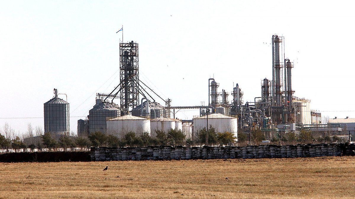 Biocombustibles: el oficialismo insiste con una nueva ley