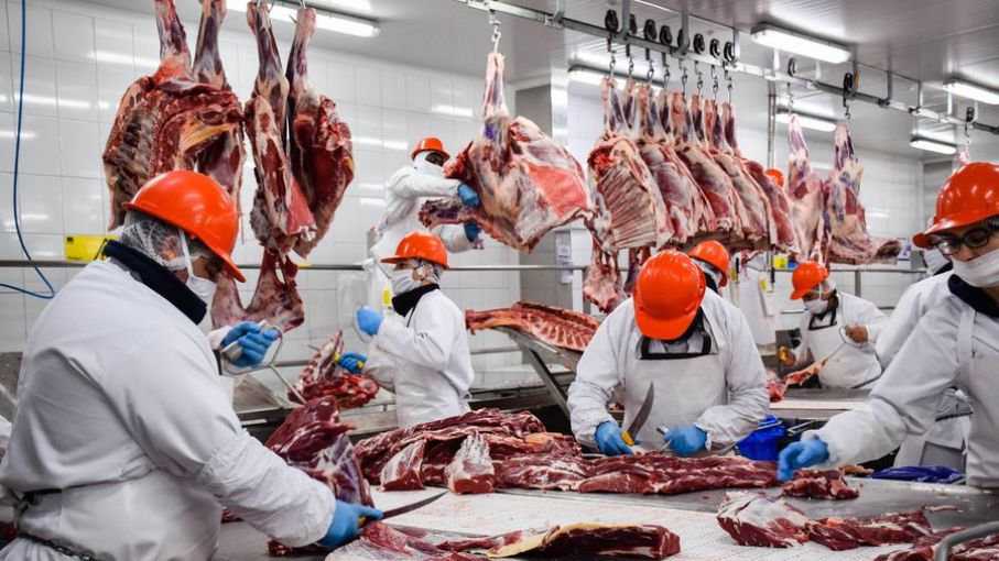 Exportaciones de carne totalizaron en enero 61,2 mil toneladas, 19,2% más que en igual mes de 2023