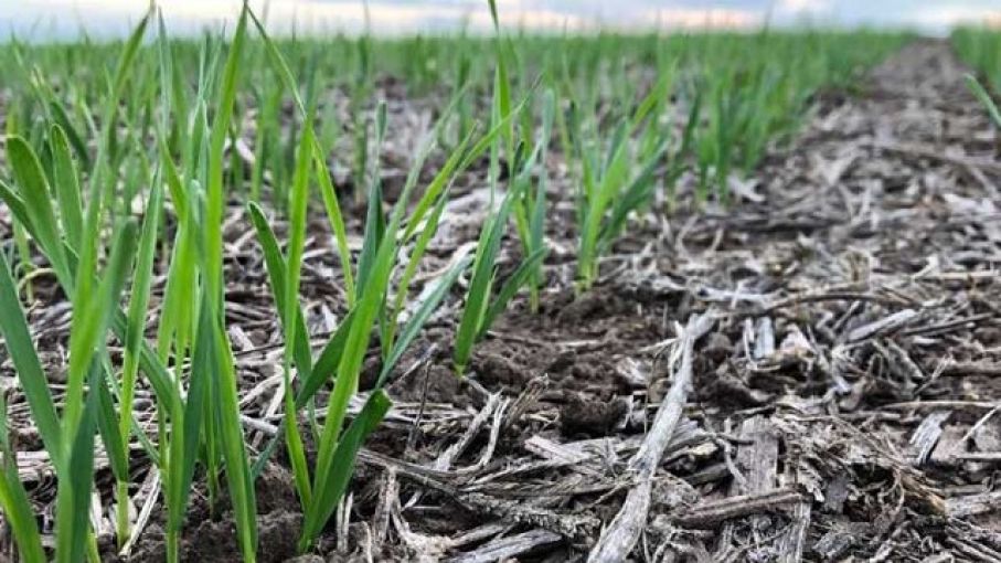 El cierre de los alquileres se adelantó con leves alzas en zonas alejadas de Rosario