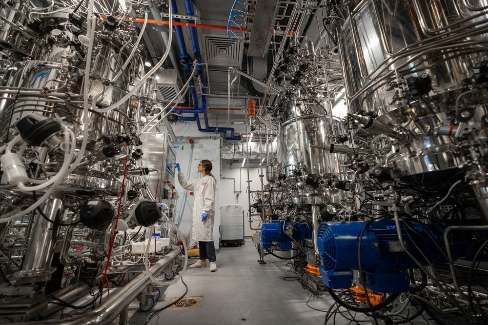 Inauguró la primera fábrica de carne cultivada en laboratorio del mundo: producirá hasta 500 kilos por día