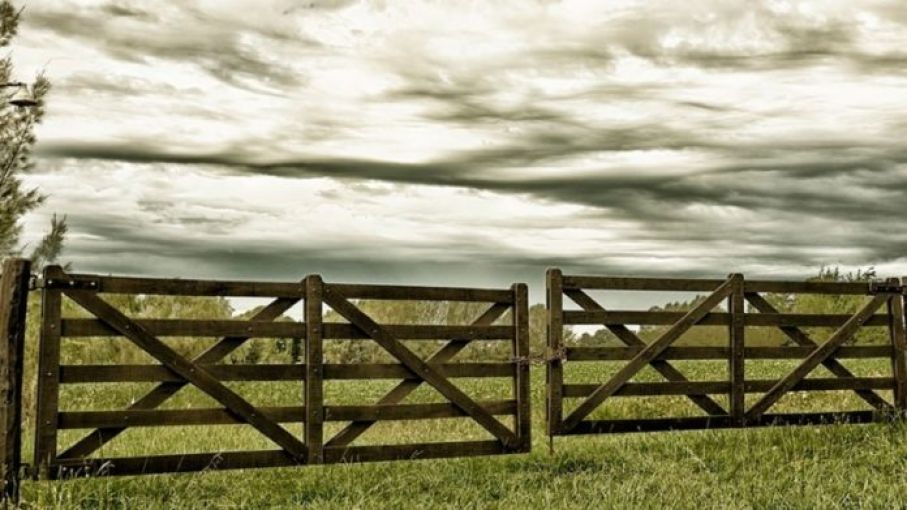 Fuerte aumento en la compraventa de tierras rurales durante mayo