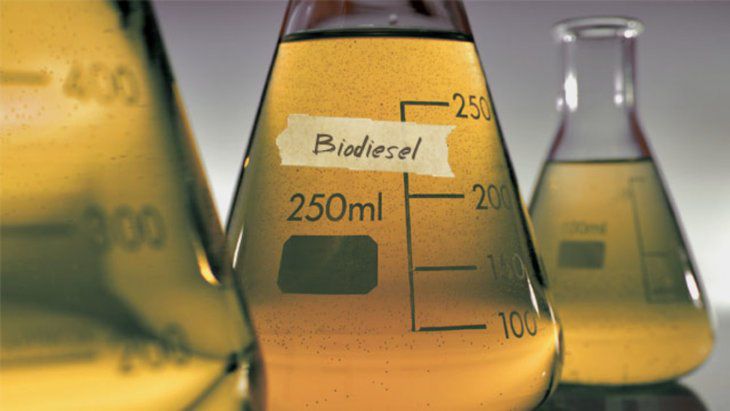 Confirman que la prórroga del corte al 12,5% de biodiesel será por 60 días