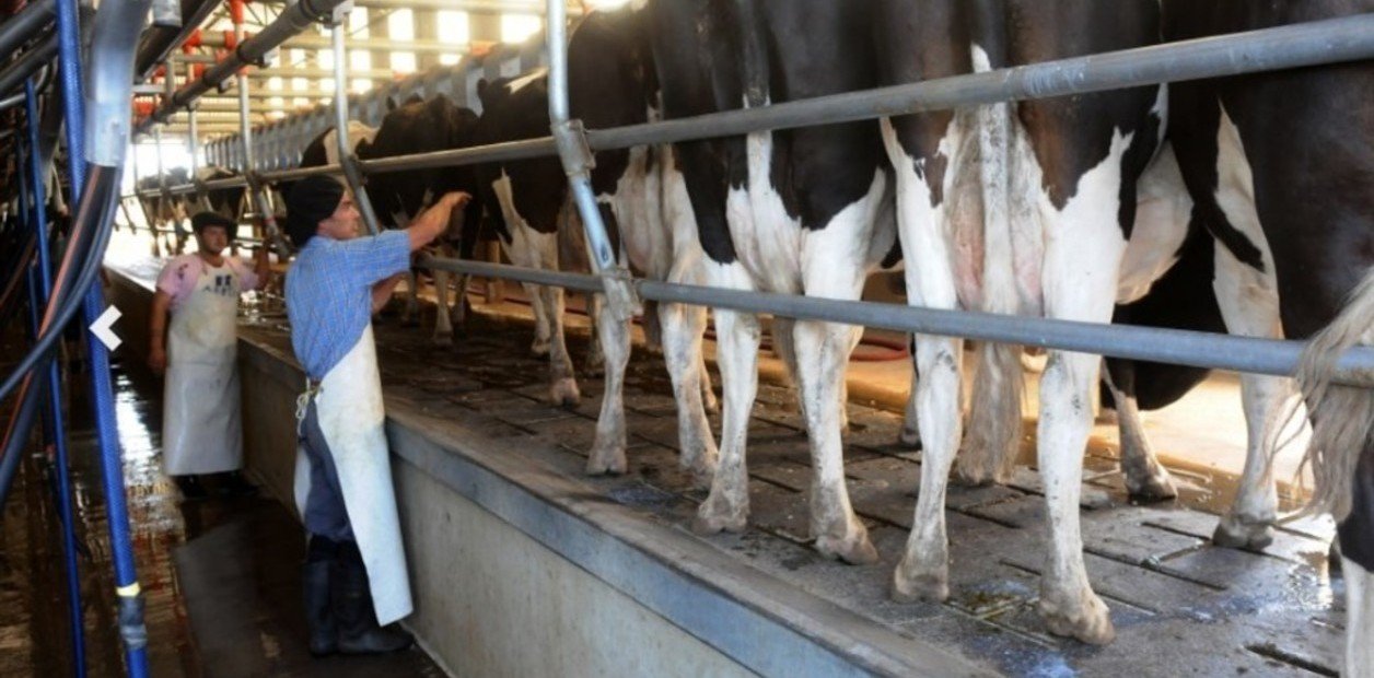 Dos empresas lácteas se unieron para complementar su producción y comercialización