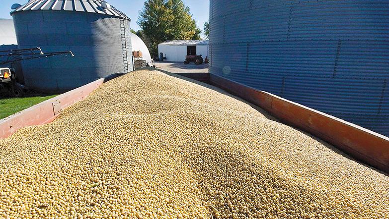 Amplían planta de acopio de cereales y oleaginosas en Chaco