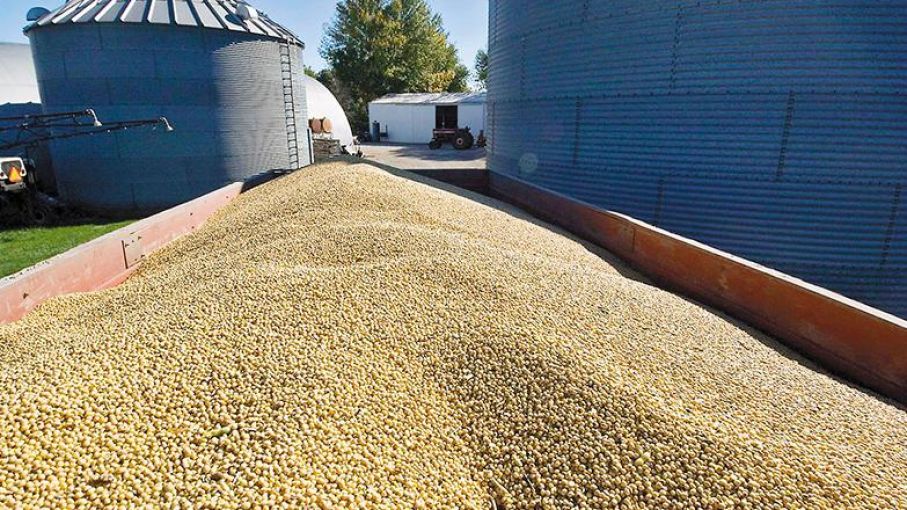 Cierre estable para los precios de la soja y al alza para los cereales en Chicago