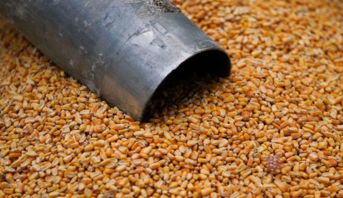 Las exportaciones de maíz ya superaron las 34 millones de toneladas