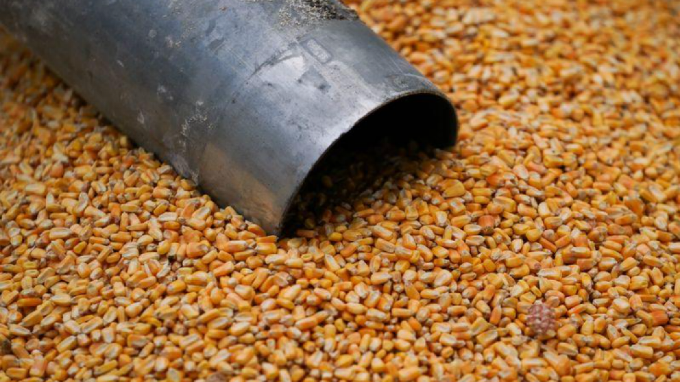 Las exportaciones de maz ya superaron las 34 millones de toneladas