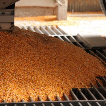 El USDA proyecta menos exportaciones de maiz de EEUU en último informe
