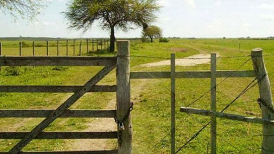 La actividad inmobiliaria rural subió en junio, por tercer mes consecutivo