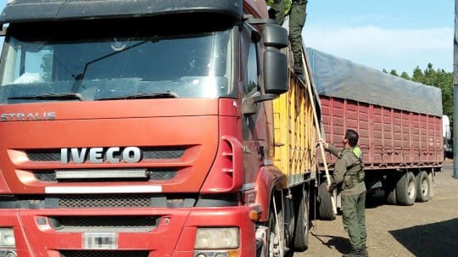 Decomisan 196 toneladas de soja que eran trasladadas en siete camiones