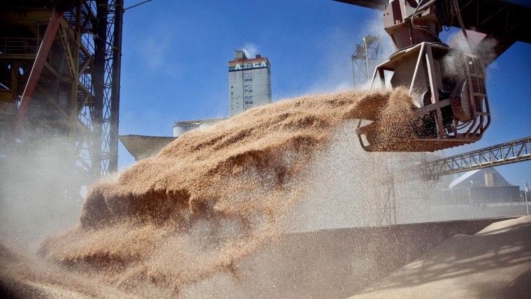 Exportadores de soja podrán solicitar prórroga extraordinaria de 90 días para realizar embarques