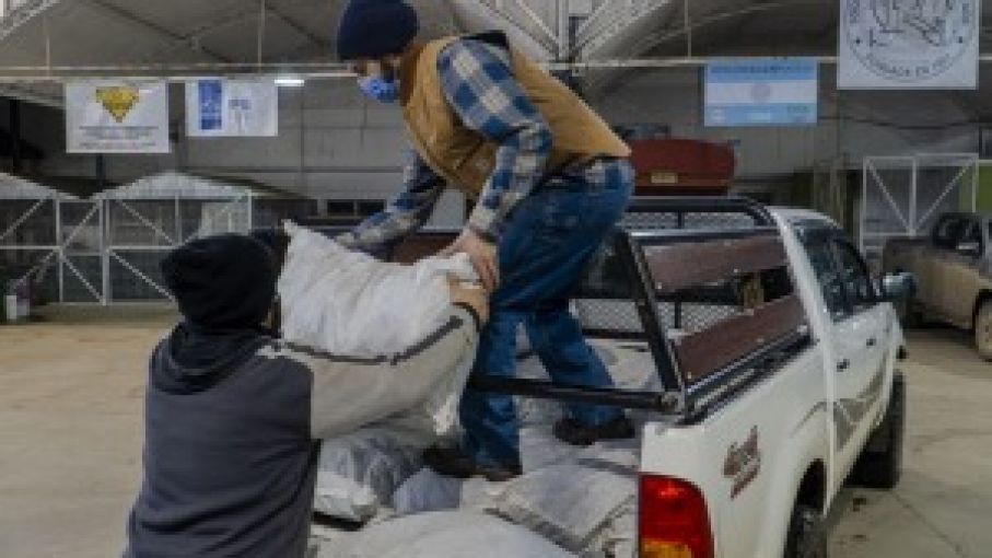 Distribuyen en Santa Cruz 200 mil kilos de alimento balanceado en establecimientos ganaderos