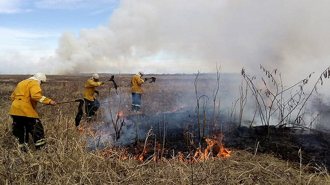 Incendios en las islas : justicia federal sobreseyó a empresarios imputados