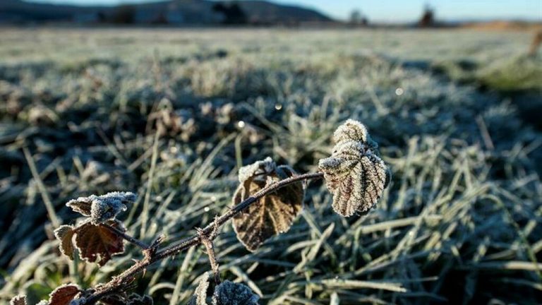 Agosto comienza sin lluvias y con bajas temperaturas