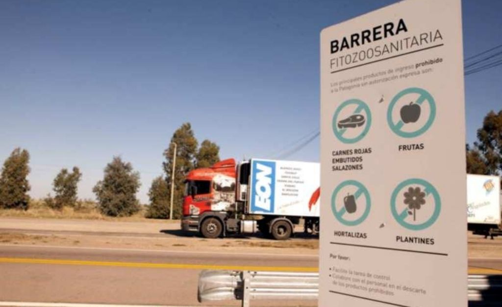 Evitan ingreso de plantas de olivo y almendro y barbados de vid sin documentación a la Patagonia
