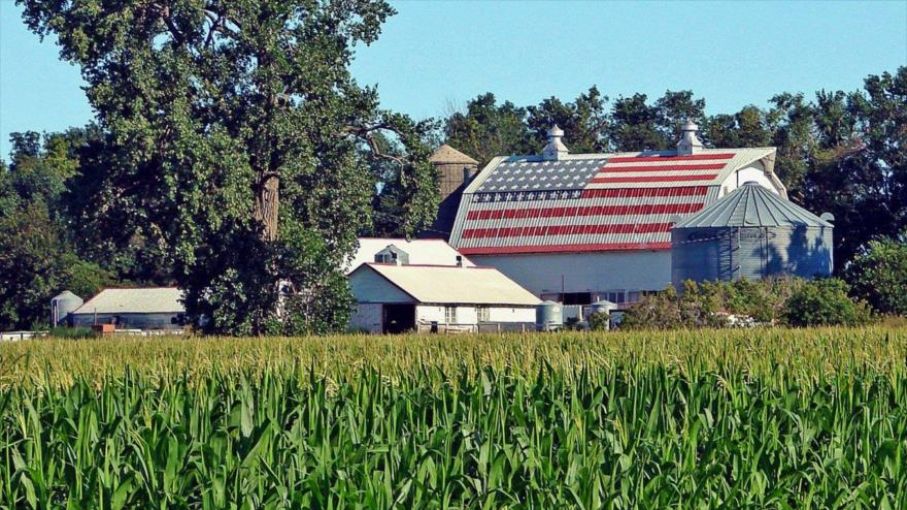 Preocupaciones sobre el aumento de los costos de los insumos,  la economía agrícola de julio