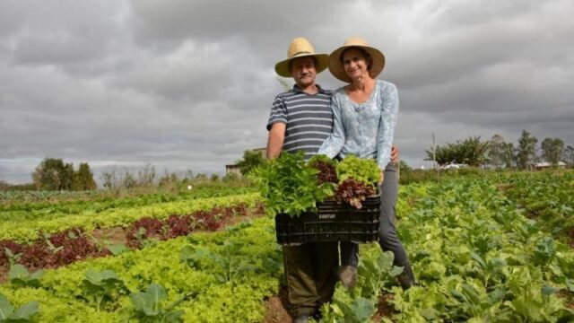 Presentan los principales lineamientos del Plan de Acción para el Decenio de la Agricultura Familiar