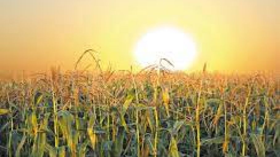 Más calor y menos lluvias para los próximos tres meses en el país