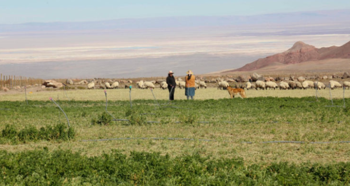 Indap finaliza ciclo de talleres que permitió recopilar datos valiosos sobre agricultura en el país
