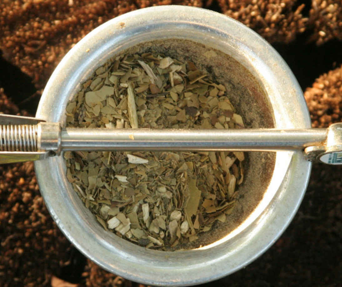Día Nacional del Mate: cada argentino consume en promedio seis kilos de yerba por año