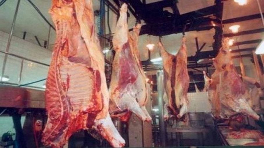 La faena bovina creció un 8,4% en mayo y quita presión alcista en los mostradores