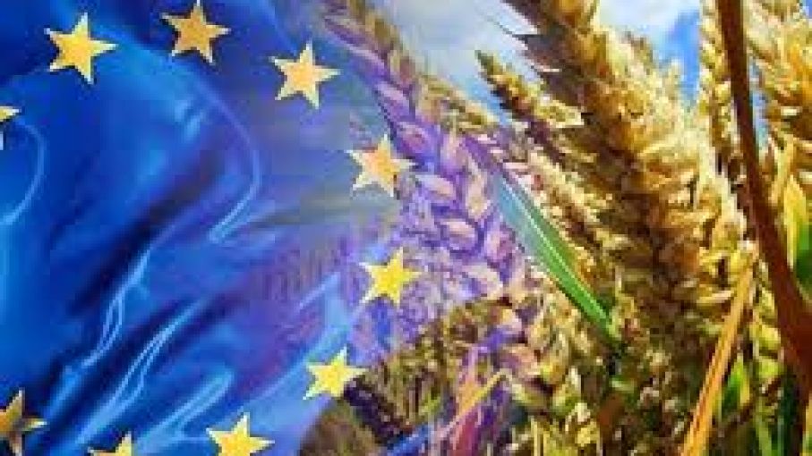 Las pérdidas de cosecha de trigo y cebada de la UE crean perspectivas de suministro mundial 'explosivas'