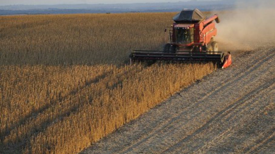 USDA recortó la estimación de producción de soja y maíz en Estados Unidos