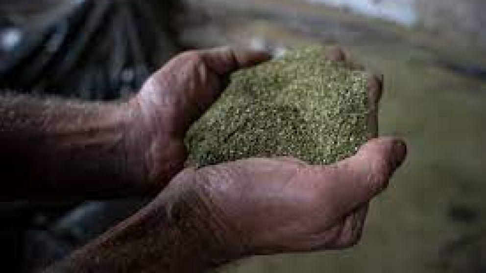 Ponen en marcha primera Federacin de cooperativas comercializadoras de agroalimentos