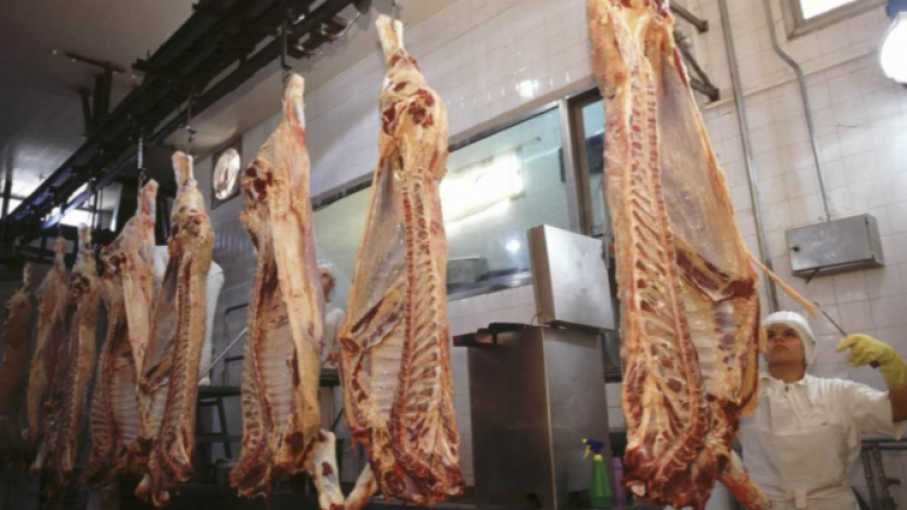 Carne: se pierden 100 millones de dólares mensuales en ingresos de divisas