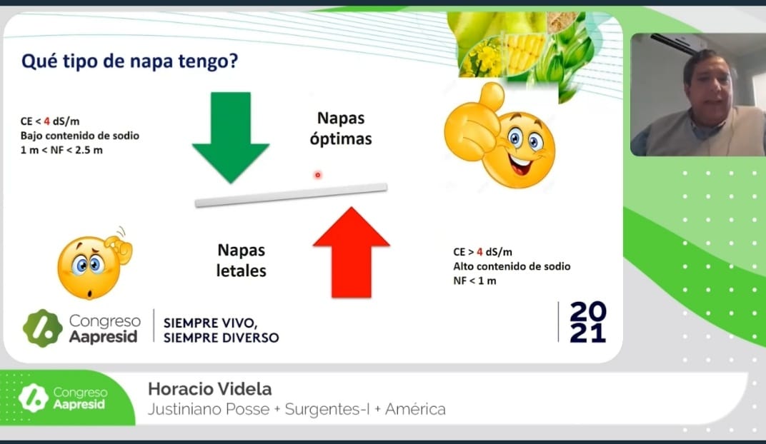 La napa, amenazas y oportunidades: experiencias de productores de Región Pampeana
