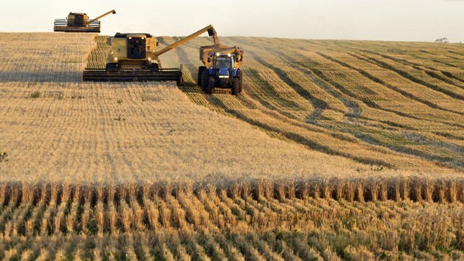 Exportaciones de trigo alcanzan casi 2.600 millones de dólares en 2023