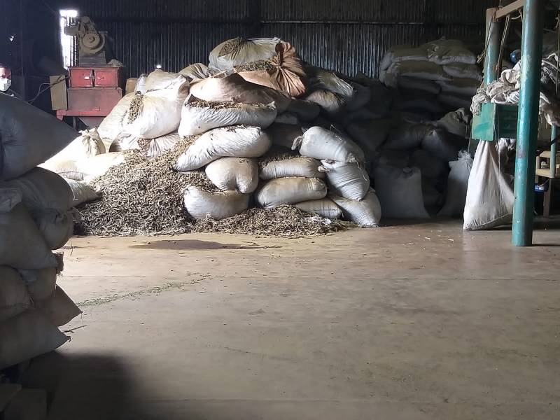 Clausuraron un molino clandestino y un depósito con palos de yerba mate