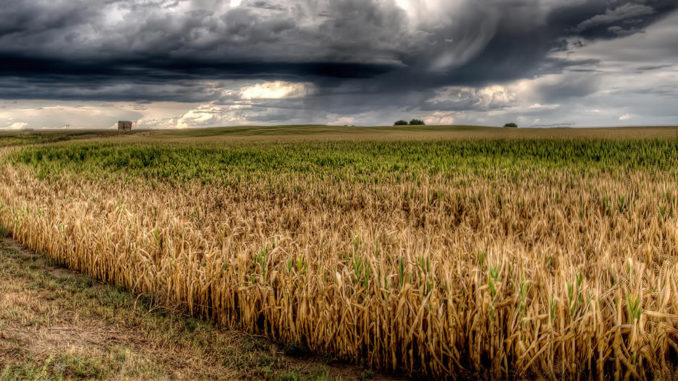   Semana con nevadas, viento, calor y tormentas