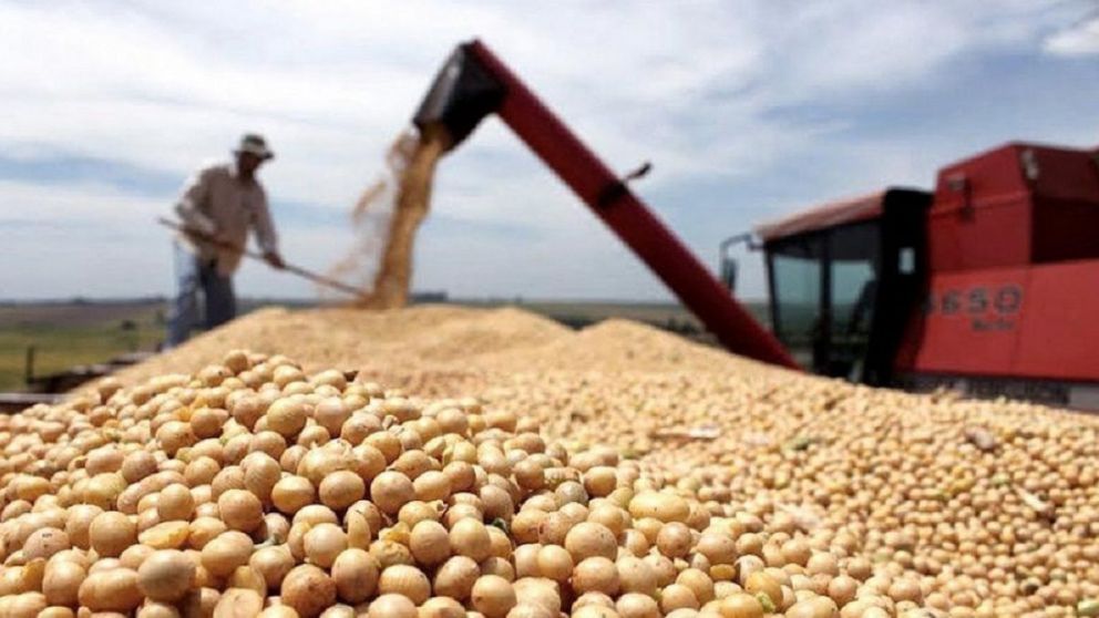 Campaa comercial 2021/22: nmeros que arroja hasta el momento