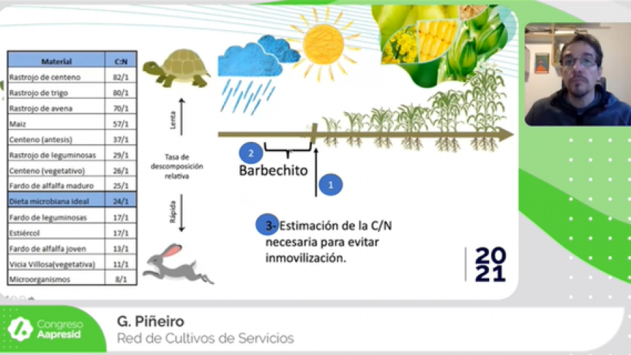 Manejo de Cultivos de Servicios