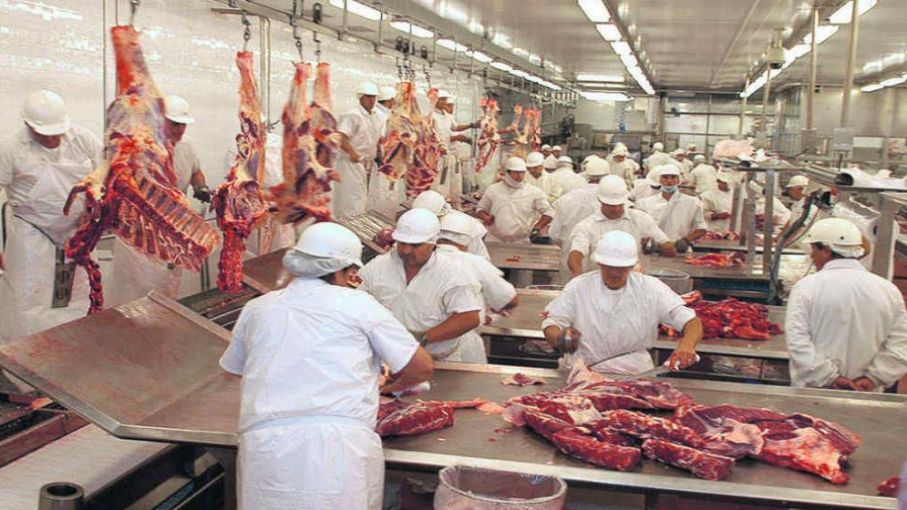 "Todos perdimos más de mil millones de dólares"