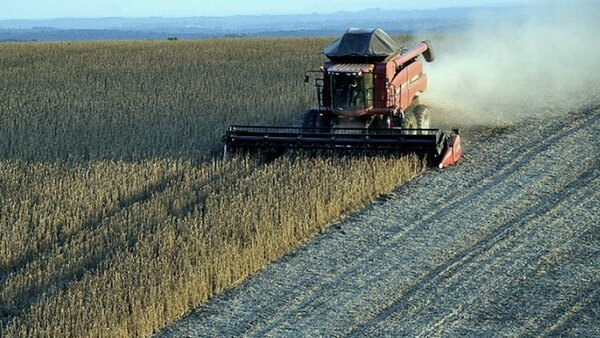 Cooperativas agropecuarias: un pilar esencial para el desarrollo del interior argentino