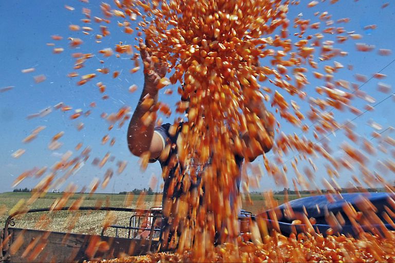 Análisis del mercado con los datos que nos dejó el último informe USDA