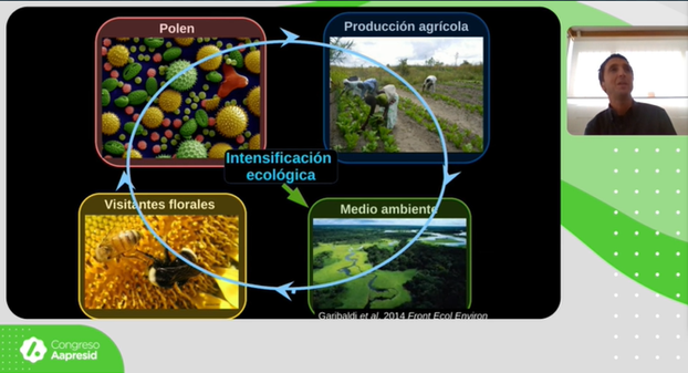 Aporte de los polinizadores a los sistemas de producción