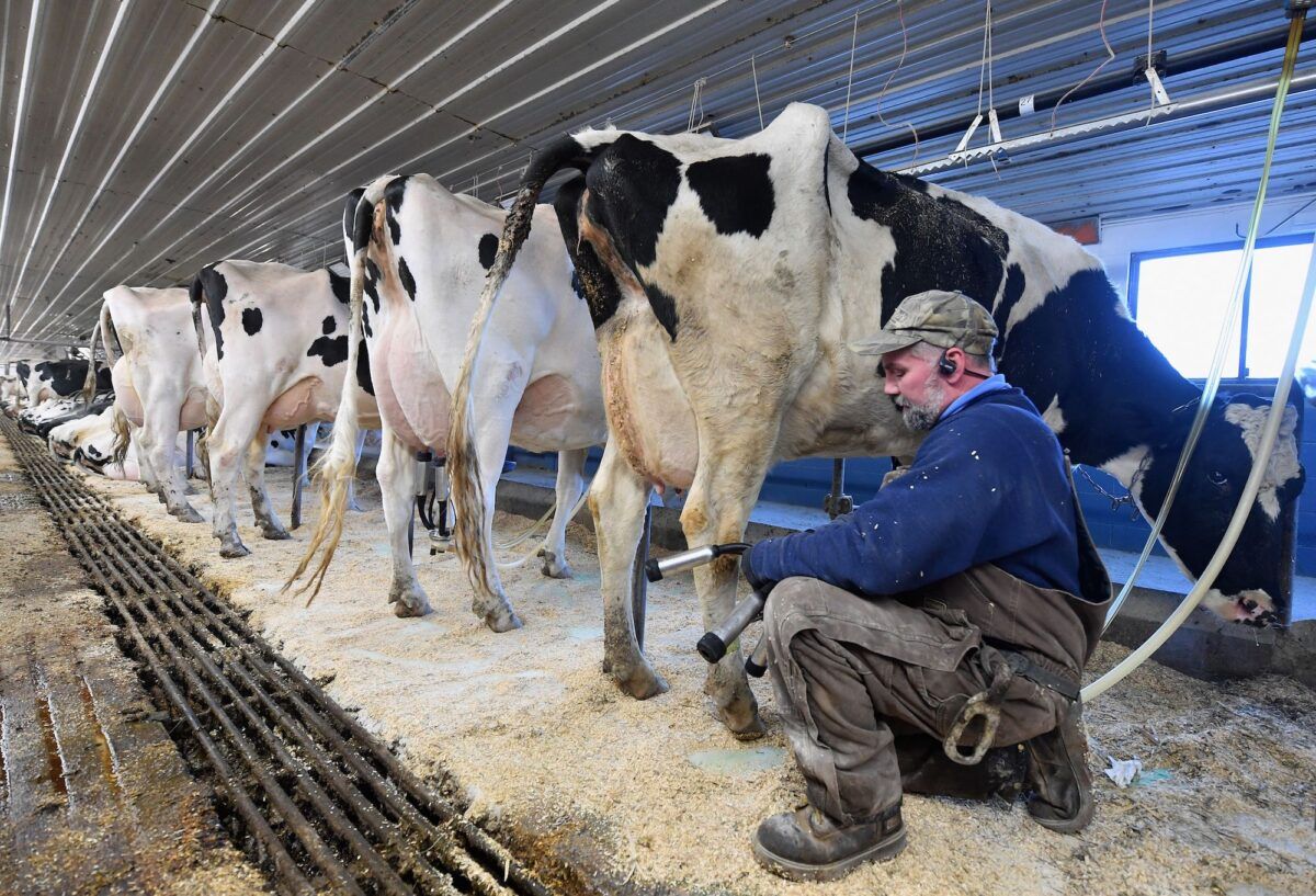 El USDA asiste a productores de leche en US$ 2.000 millones