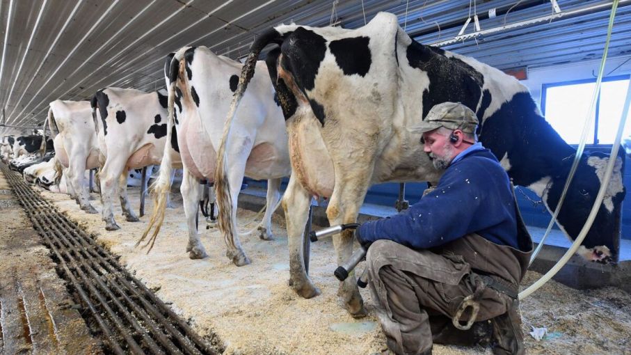 El USDA asiste a productores de leche en US$ 2.000 millones