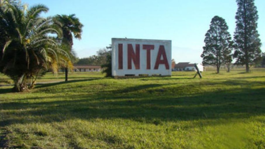 Las 4 Cadenas de Cultivo sostienen que es fundamental mantener la esencia del INTA