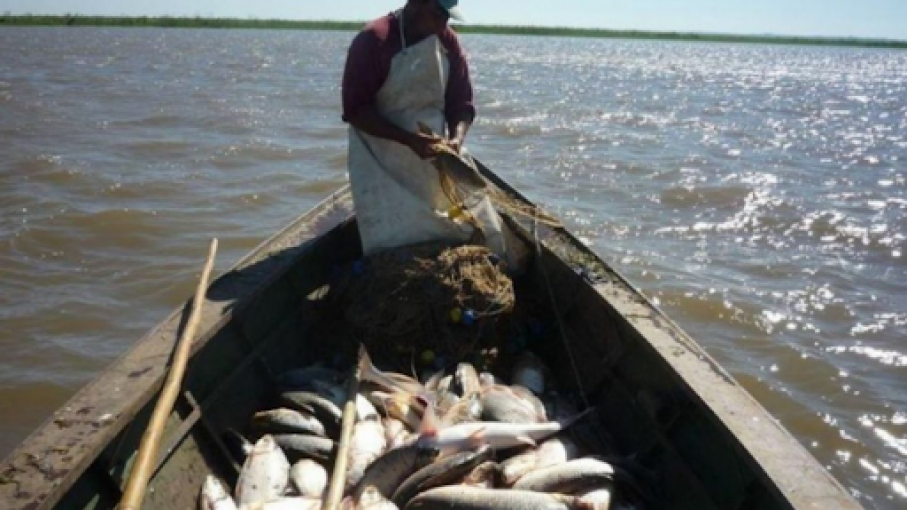 Bajante del Paraná: cómo afecta a la pesca artesanal