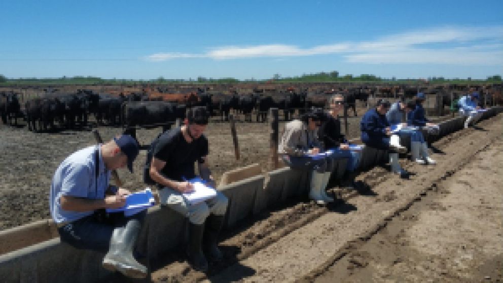 Cmo aplicar Bienest.AR animal en el feedlot