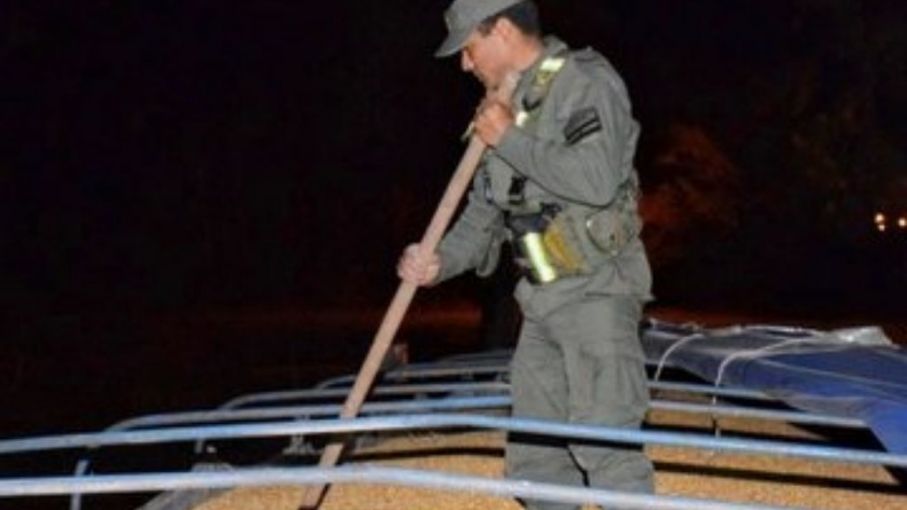 Decomisan más de 70 toneladas de maíz en Corrientes