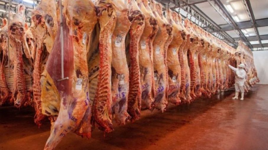 En 2022 continuará el cepo a las exportaciones de carne