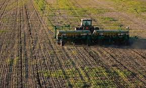 Productores de Santa Fe aguardan lluvias para trigo implantado y siembra de girasol