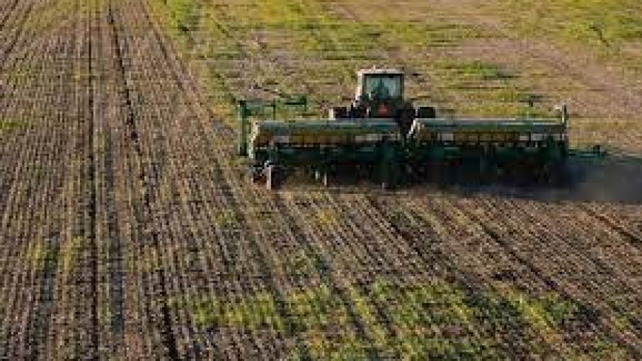 Debido a bajos rendimientos, podría recortarse la proyección de soja, maíz y girasol