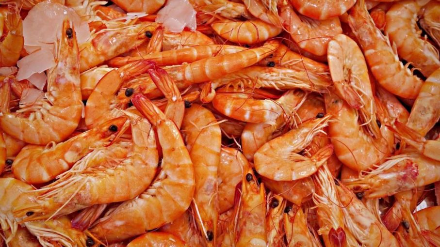 Fijan valores referenciales para exportación de langostinos